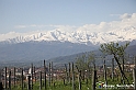 VBS_7139 - PressTour educational dedicato ai vini del Pinerolese e all’olio prodotto sulla collina di Pinerolo